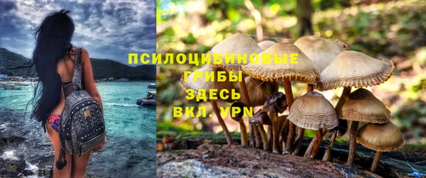 гидропоника Абдулино