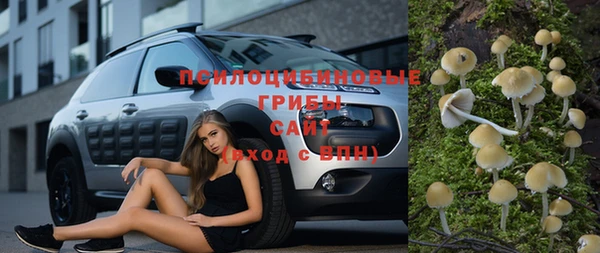 mdpv Алзамай