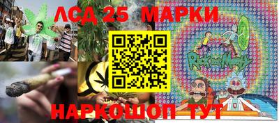 Альфа ПВП Ставрополь