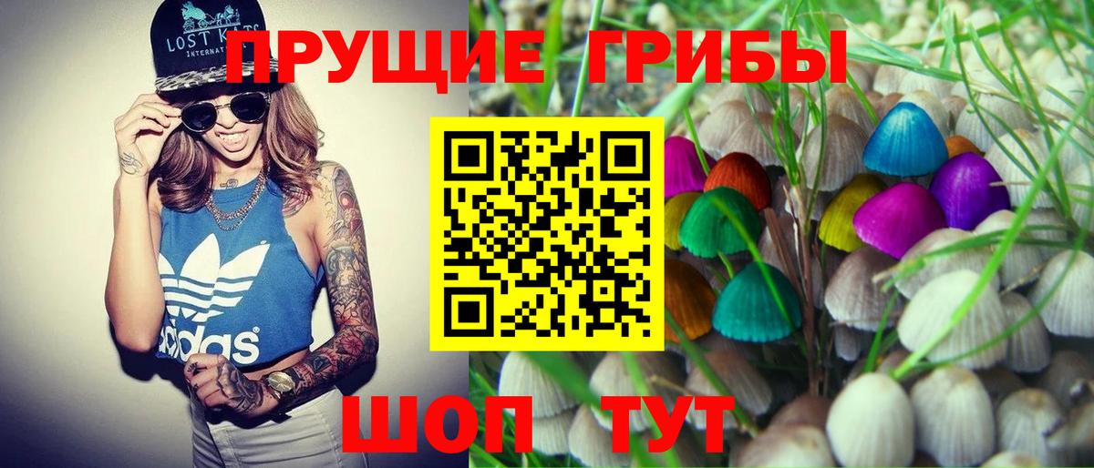 Галлюциногенные грибы Magic Shrooms  Псилоцибиновые грибы мицелий  Вход с VPN  купить наркоту  Узловая 